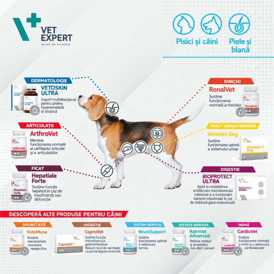 Urinovet Dog Vet Expert – Supliment Alimentar pentru Suportul Sistemului Urinar la Câini – 30 Tablete